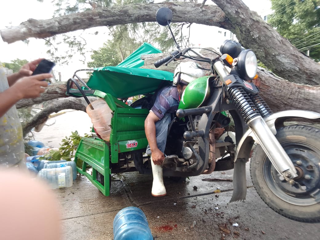 Árbol aplasta a don Ramón y lo mata