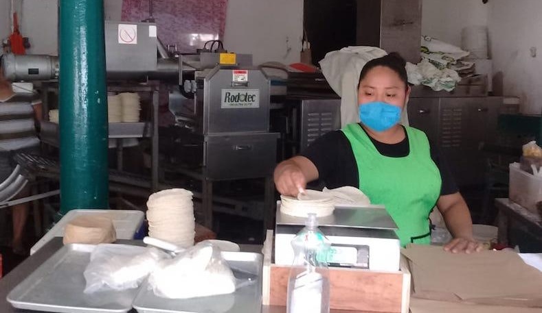 80 por ciento de las tortillerías en la informalidad