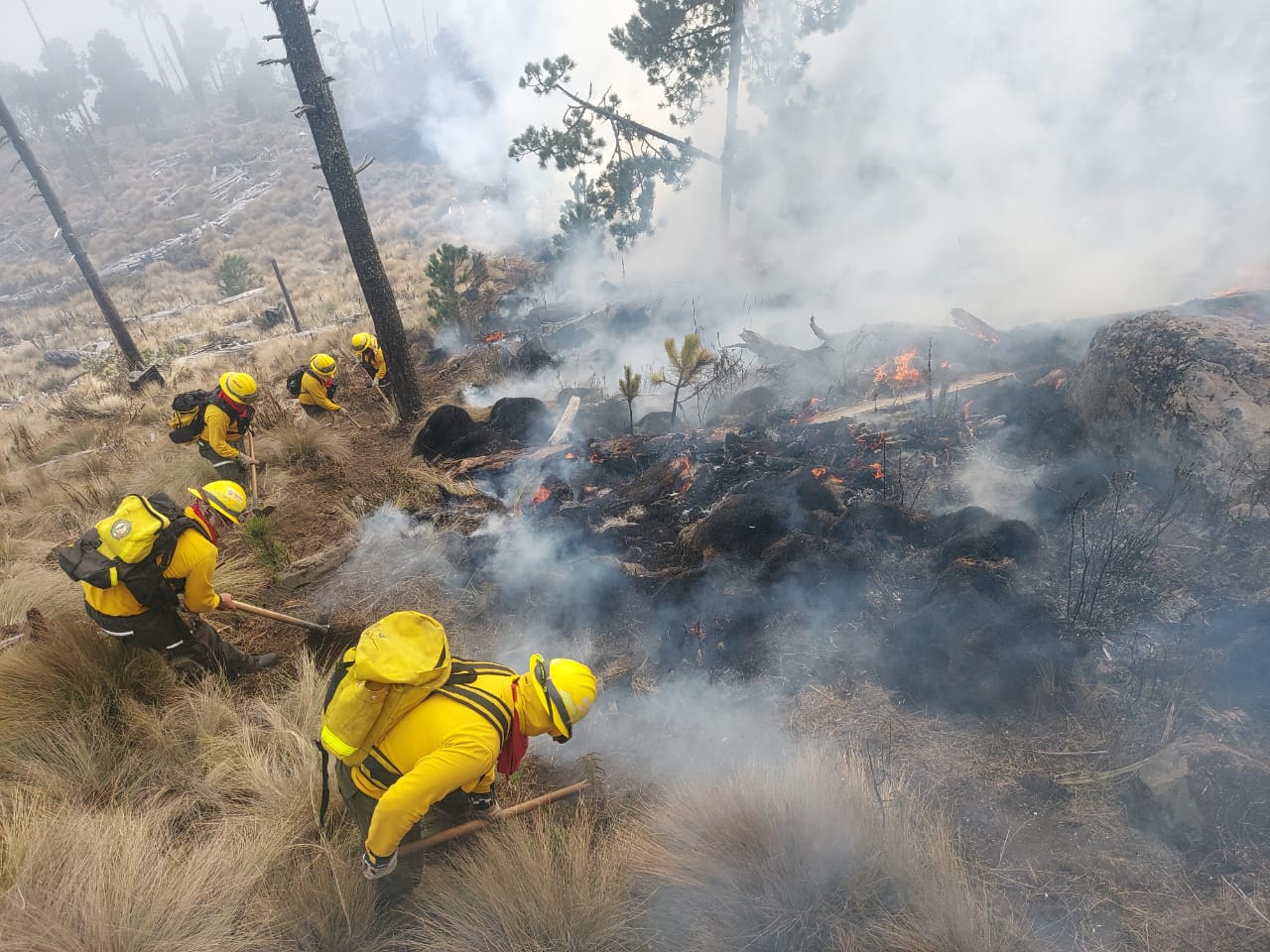 Controlado incendio forestal en Parque Nacional Pico de Orizaba en un 80 por ciento