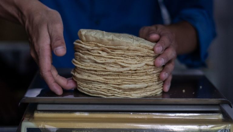 El kilo de la tortilla podría alcanzar un máximo de 29 pesos en Veracruz