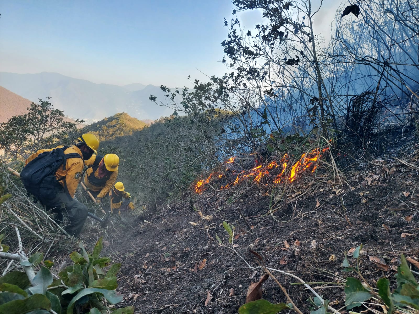 Controlados a un 95 por ciento, incendios en Perote, Ixhuacán y Ayahualulco