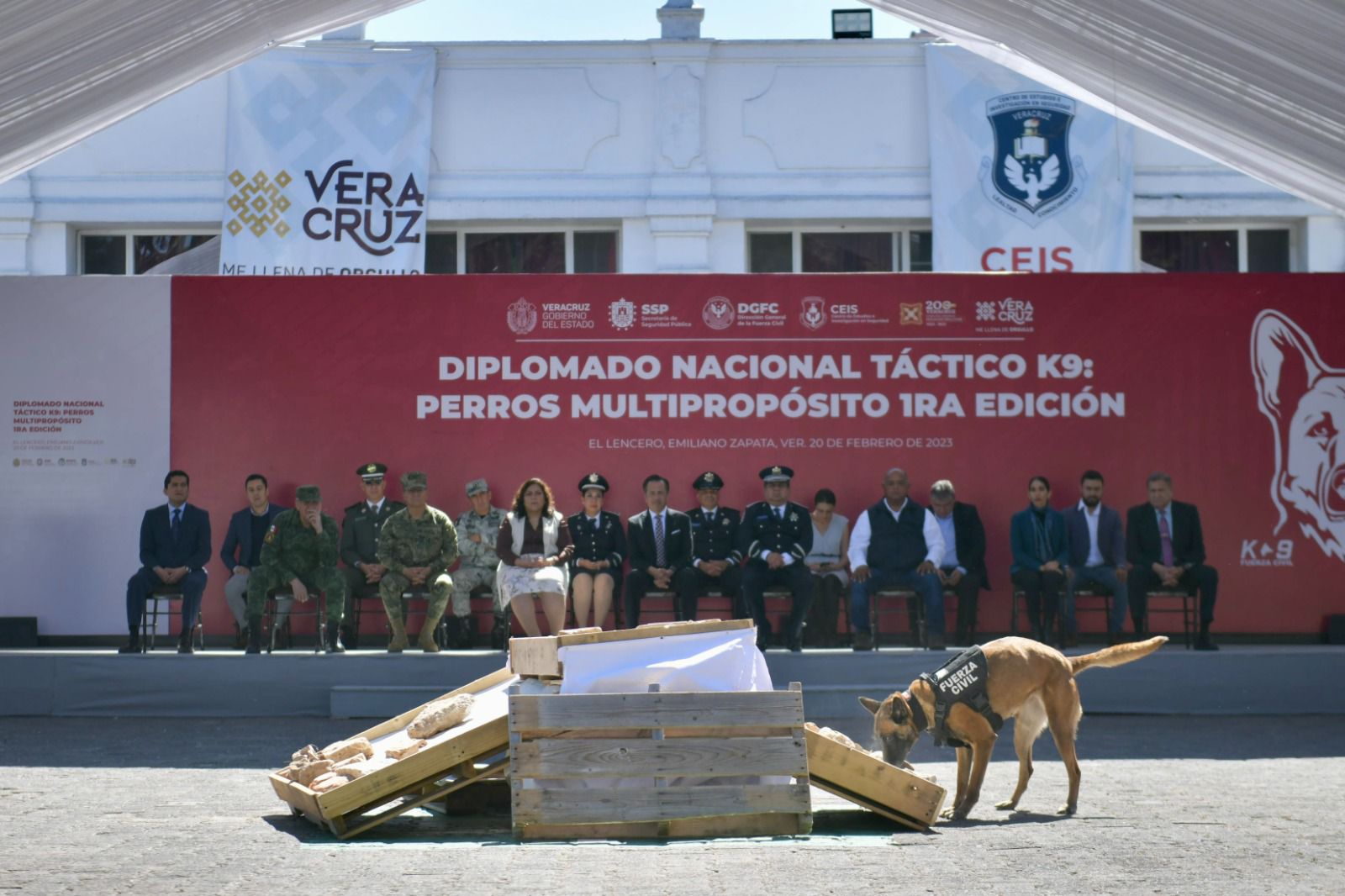 Eficacia de la Compañía K9 en localización de narcóticos contribuye a reducción de homicidios: Cuitláhuac