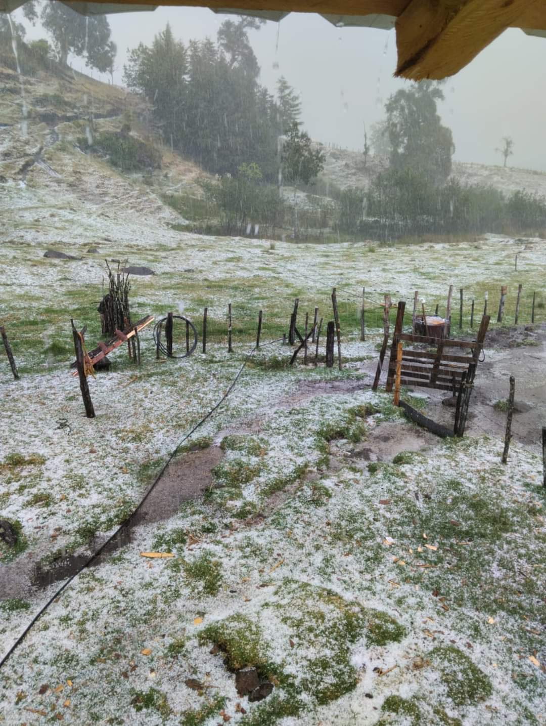 Primera granizada de 2023 deja saldo blanco