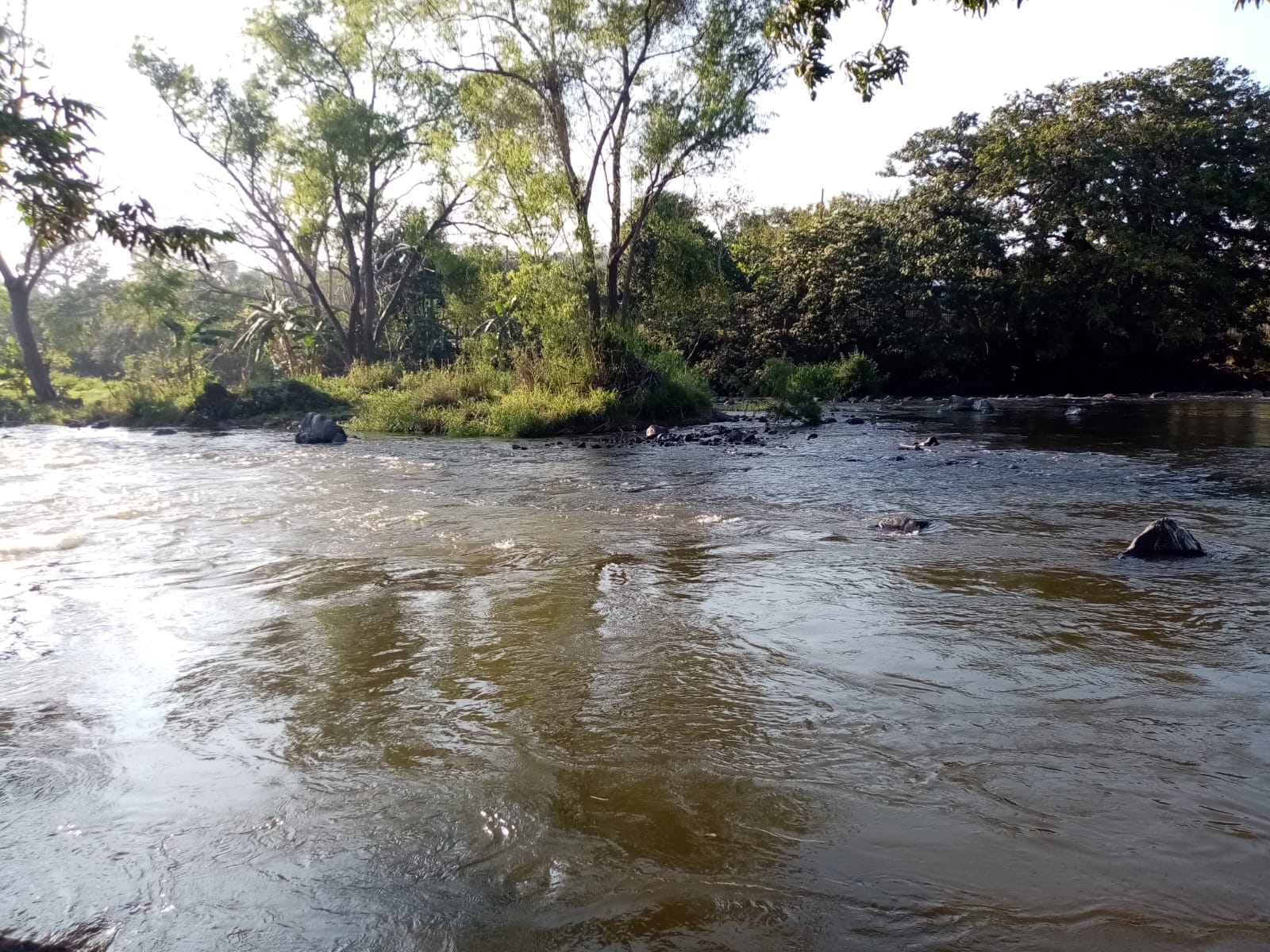 Escasea el agua en el sur