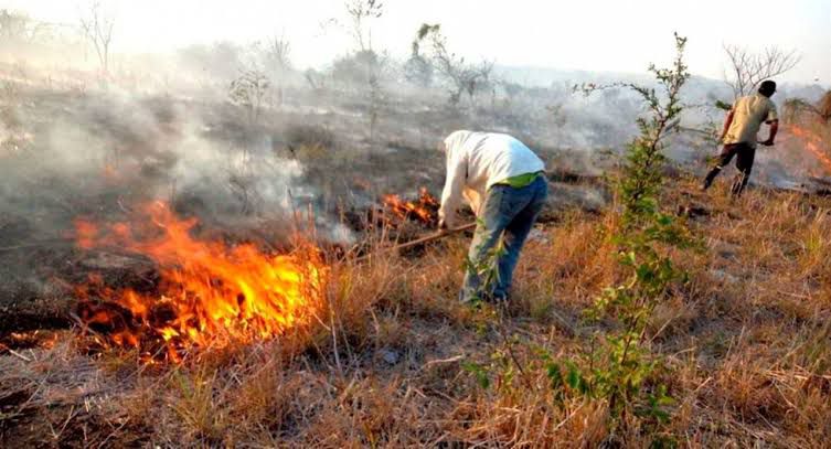 Combate Bomberos 45 incendios en Coatzacoalcos