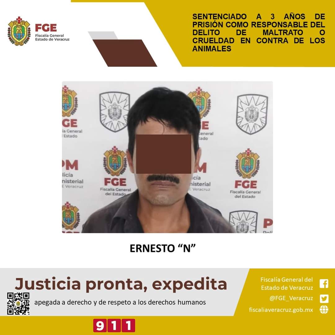 Sentenciado a 3 años de prisión como responsable del delito de maltrato o crueldad en contra de los animales