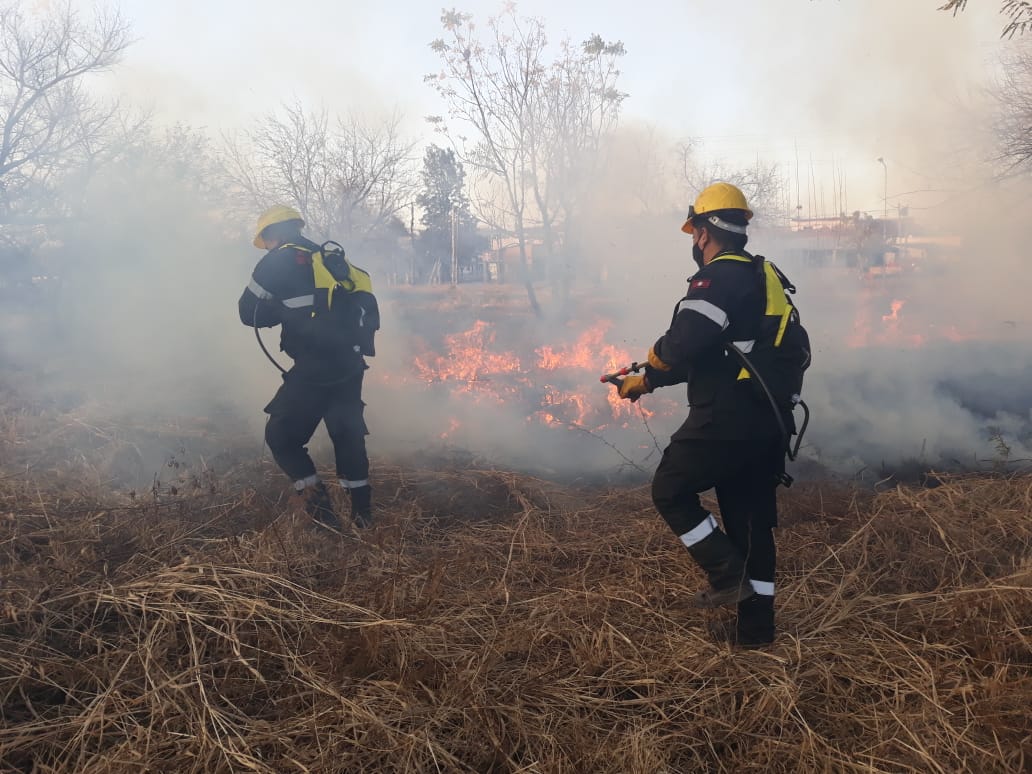 Estiaje deja en Coatzacoalcos 250 incendios de pastizales