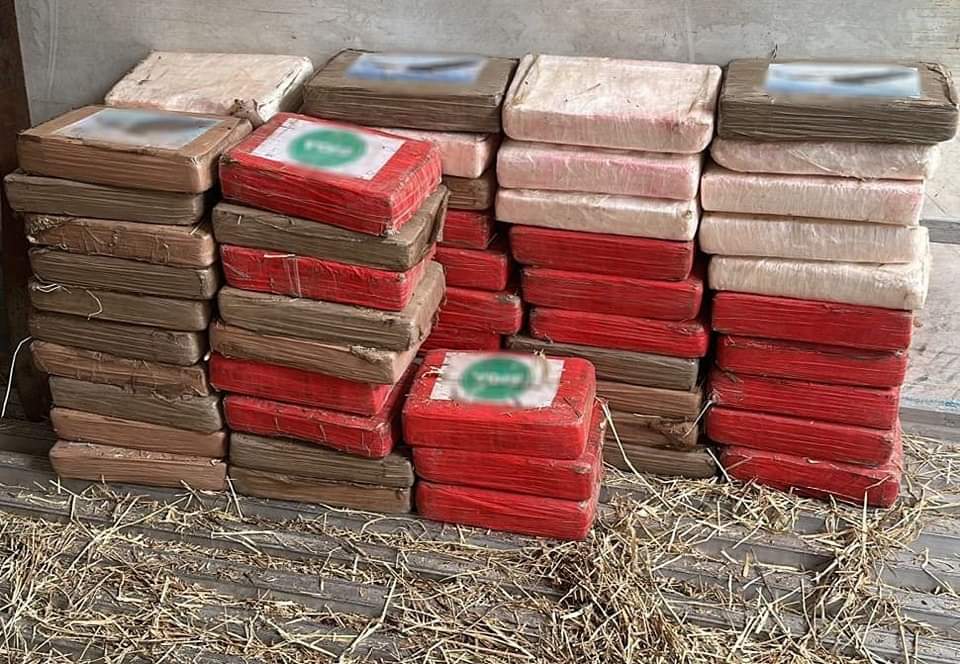 Aseguran cargamento de cocaína dentro de un tráiler en la autopista Minatitlán-Cosamaloapan