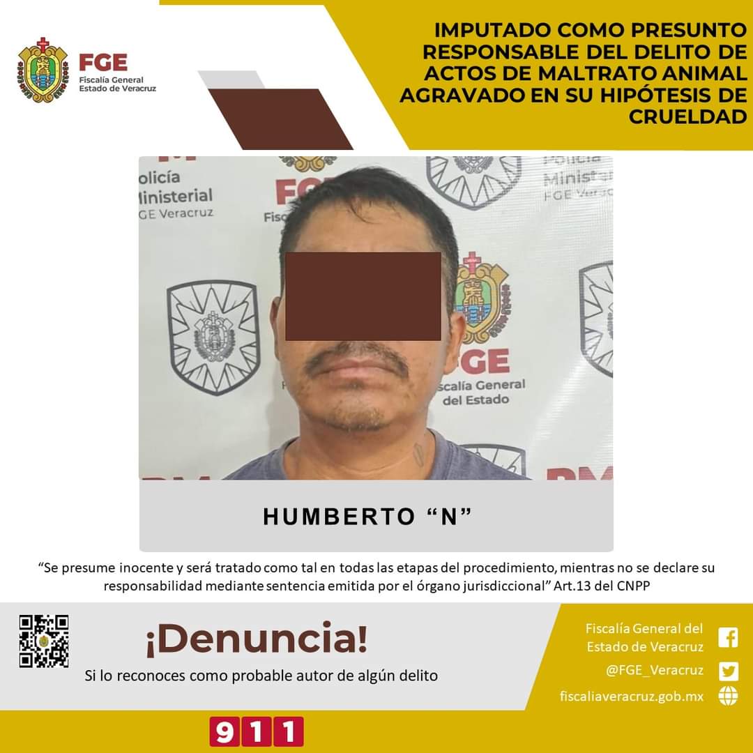 Imputado como presunto responsable del delito de actos de maltrato animal