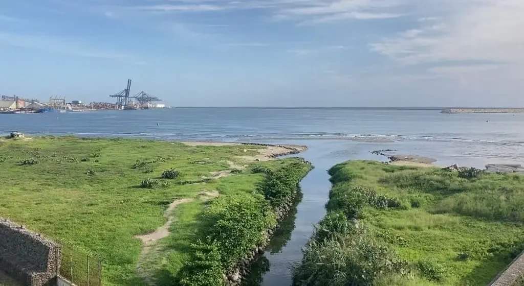 Confirman muerte de tripulantes de avioneta que se desplomó en recinto portuario de Veracruz