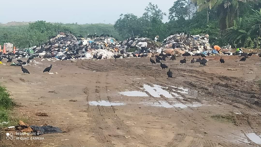 Abren basurero clandestino en Villa Allende