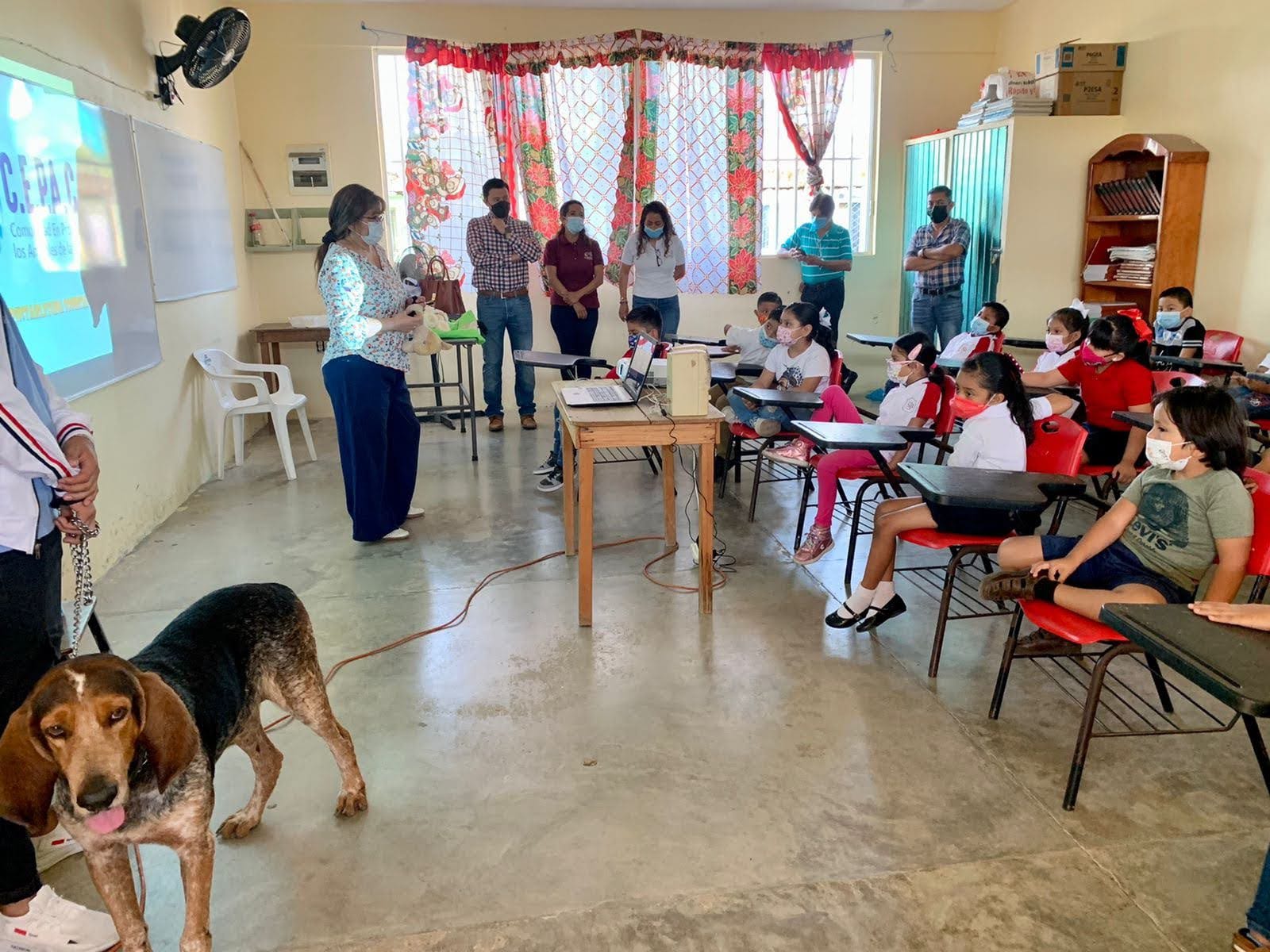 Aumenta maltrato animal en la región sur