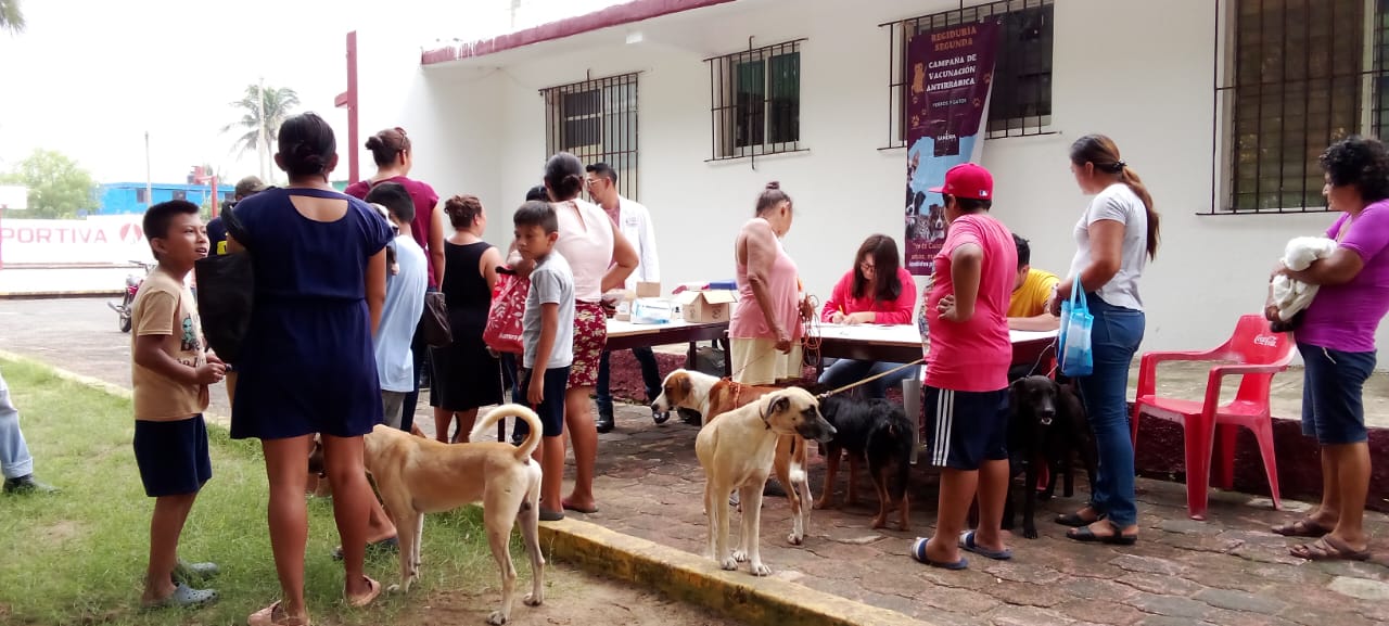 Un éxito, la campaña de vacunación Antirrábica en villa Allende
