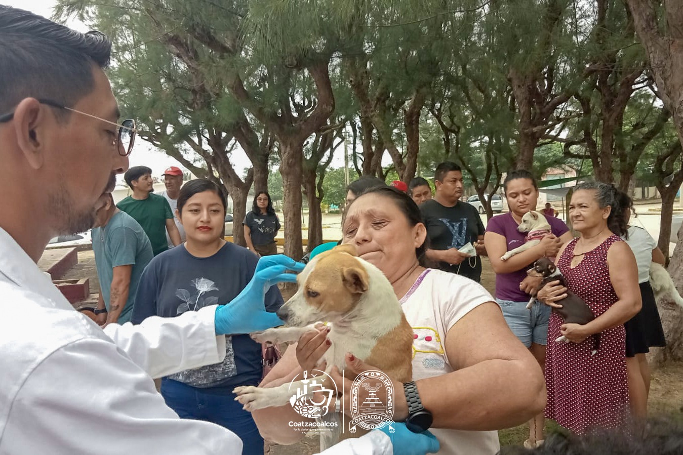 Continúan vacunando a más perros y gatos en Coatzacoalcos
