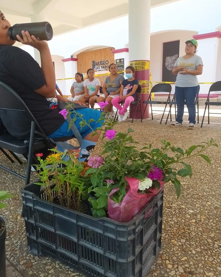 Concluyen niños talleres “Mi Huerto en Casa” y Polinizadores en Parque Bicentenario