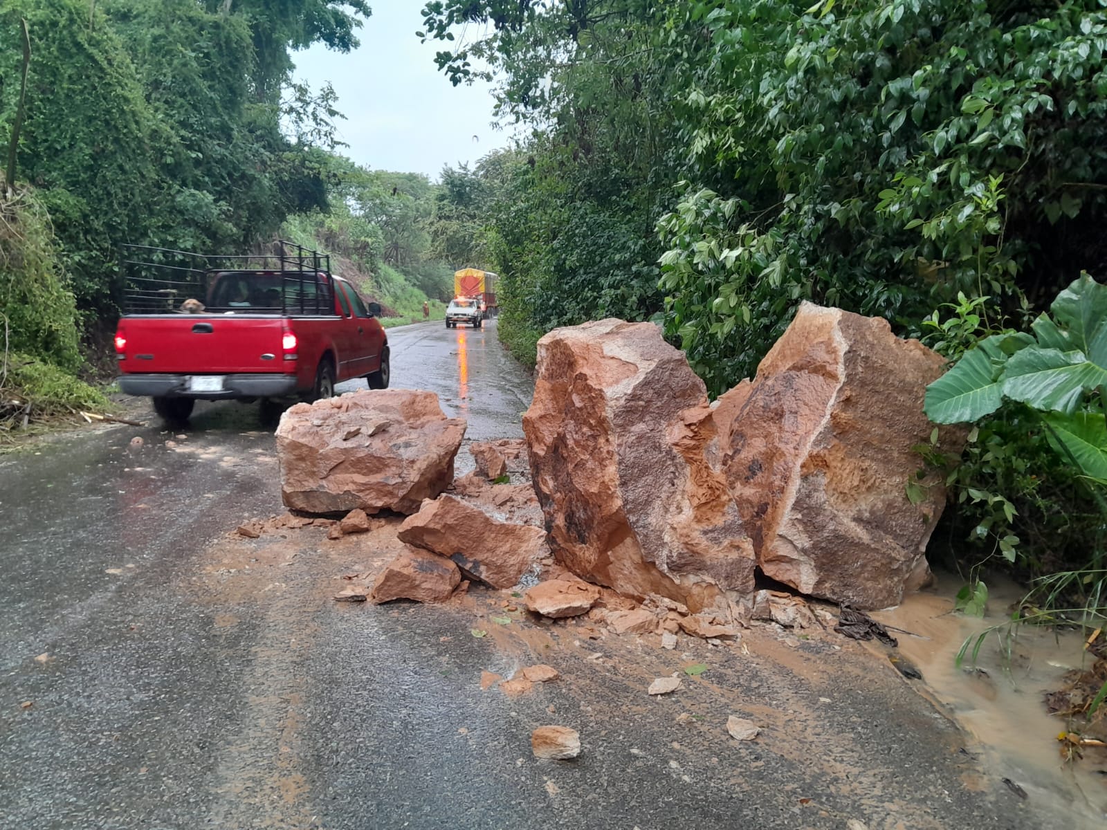 Derrumbe en la carretera Martínez de la Torre por intensas lluvias