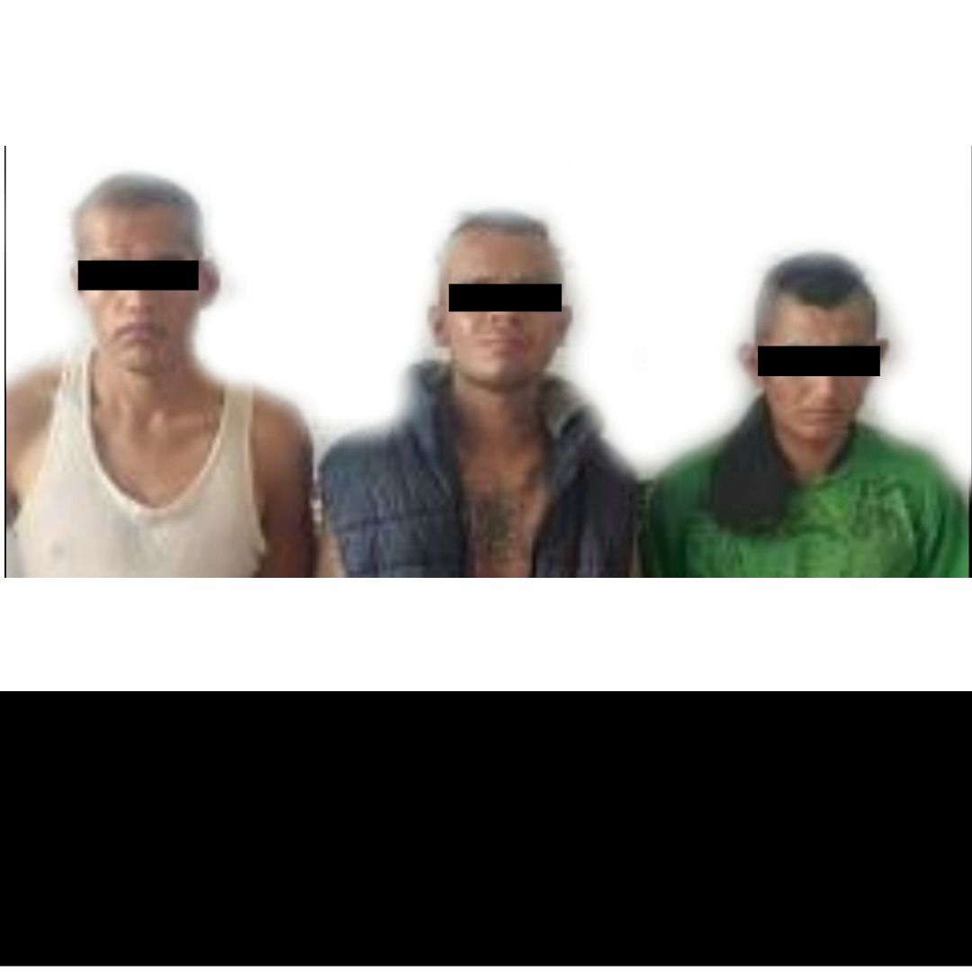 Interviene Policía Estatal a tres individuos y les aseguran 52 dosis de hierba verde en Xalapa