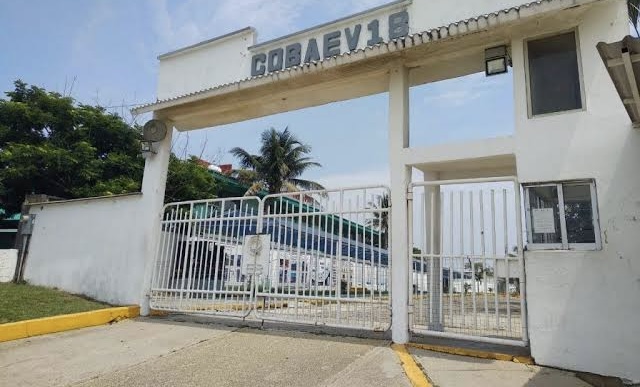 84 por ciento de los Estudiantes del COBAEV se colocan en una universidad