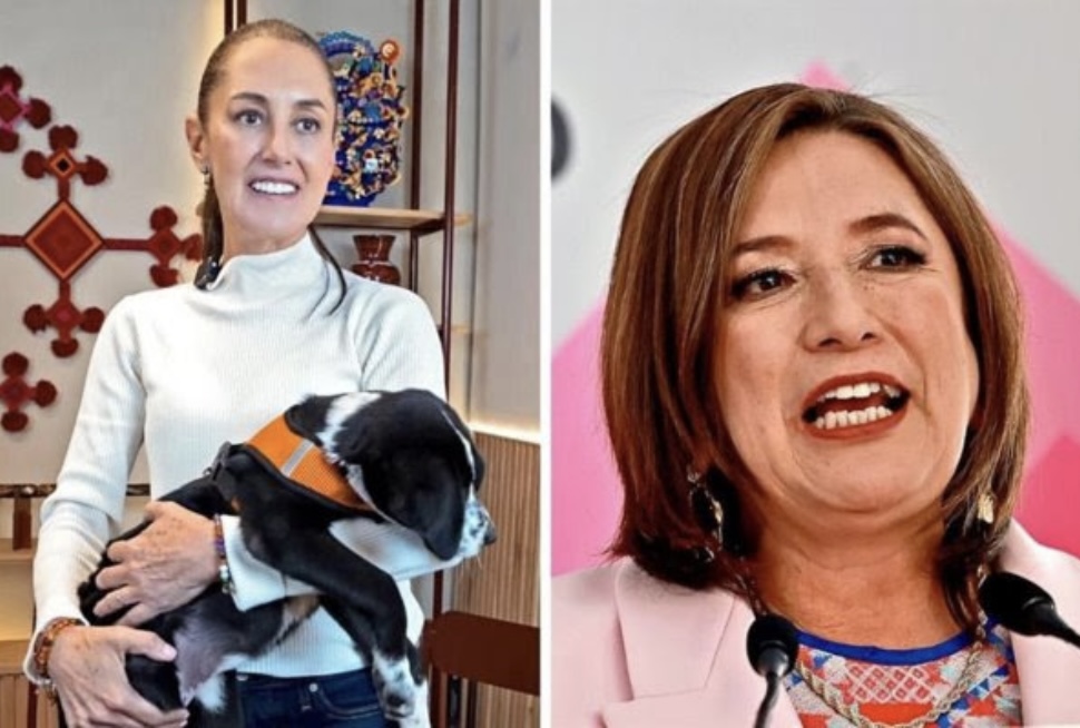 Burlan intercampaña con redes y conferencias