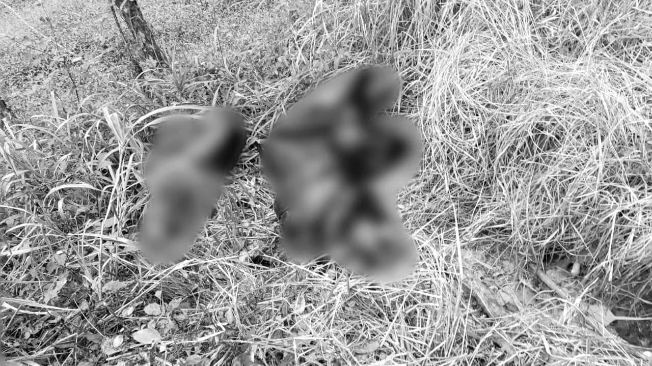 Arrojan cuerpos en bolsas negras en Acayucan