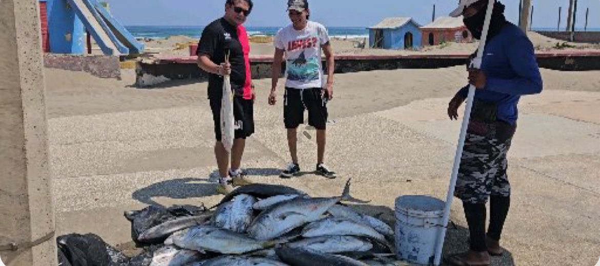 Altas ventas del gallego reportan los comerciantes de Jicacal