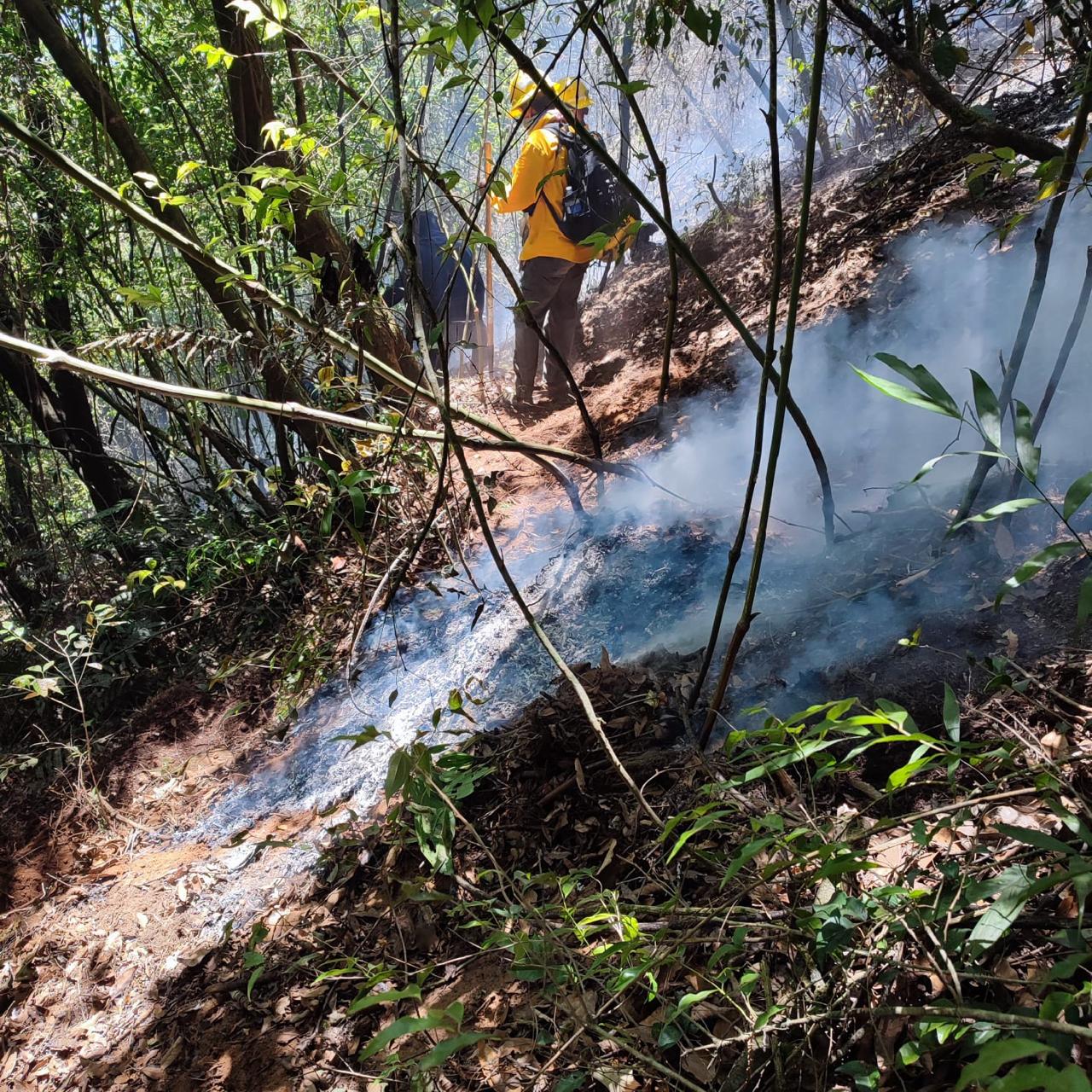 Incendio forestal en Río Blanco controlado en un 60 por ciento
