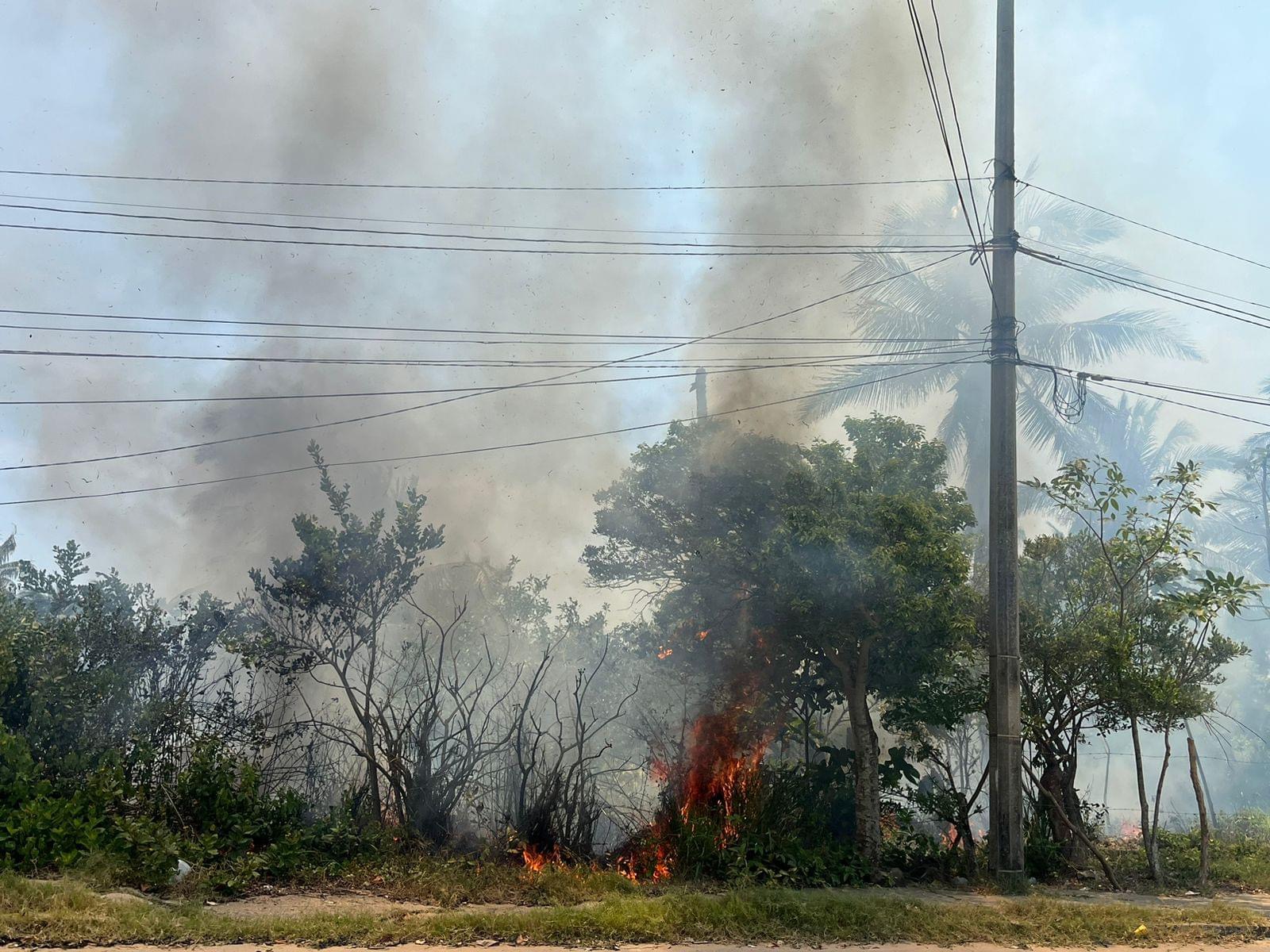Evacúan a estudiantes del COBAEV en Allende por incendio en pastizales