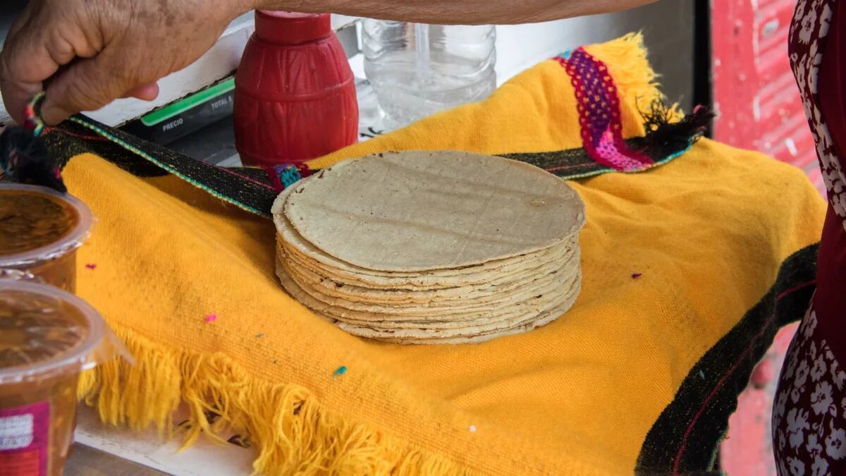 Aumento histórico en el precio de la tortilla; llega hasta 23 pesos el kilo