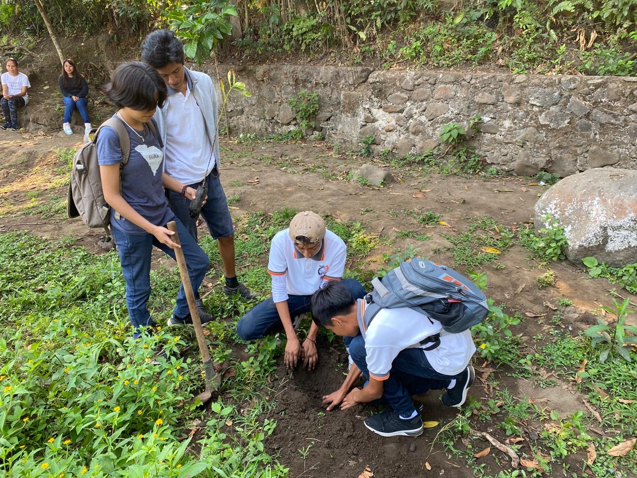 Urgente tomar medidas para evitar ondas de calor: ambientalistas