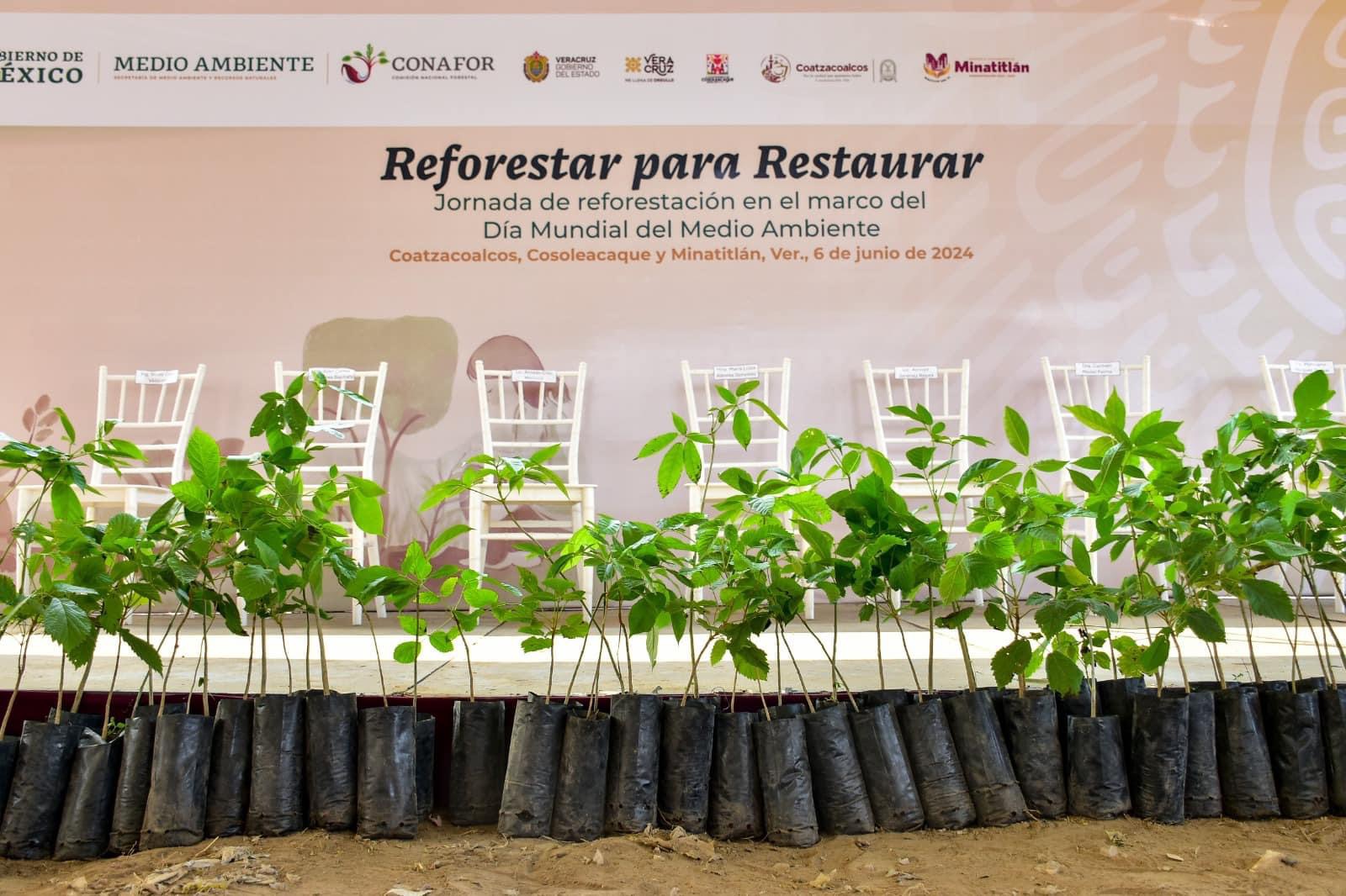 Banobras destinó 400 mdp para el saneamiento y centro ambiental en Las Matas