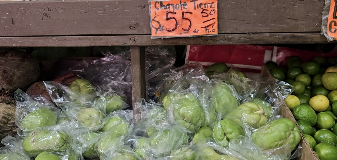 Comer ya es un lujo… Chayote y rábano aumentan hasta cinco veces su precio