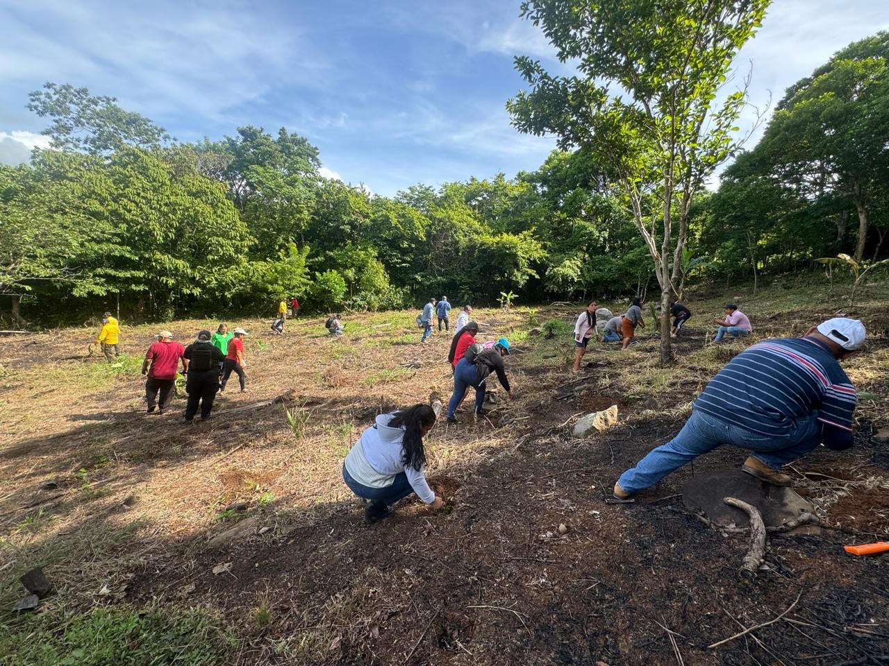 Ayuntamiento de Coatzacoalcos reforesta zona serrana