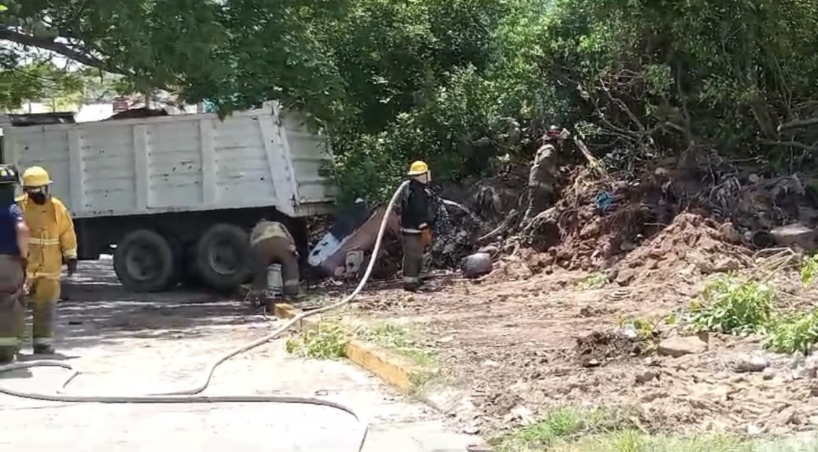 Abejas pican a personal de Limpia Pública en Coatzacoalcos