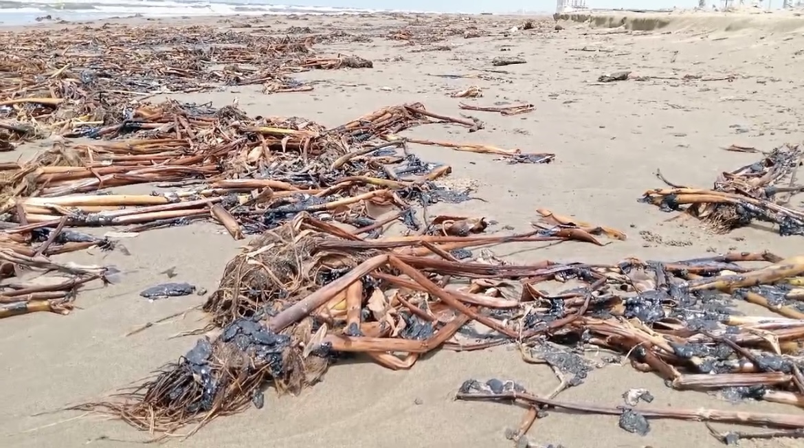 Recala hidrocarburo en las playas de Coatzacoalcos
