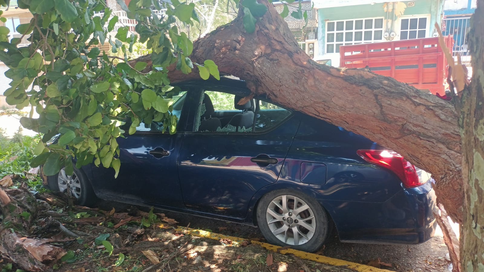 Tráiler derriba árbol y deja sin energía eléctrica a familias del centro de Coatzacoalcos