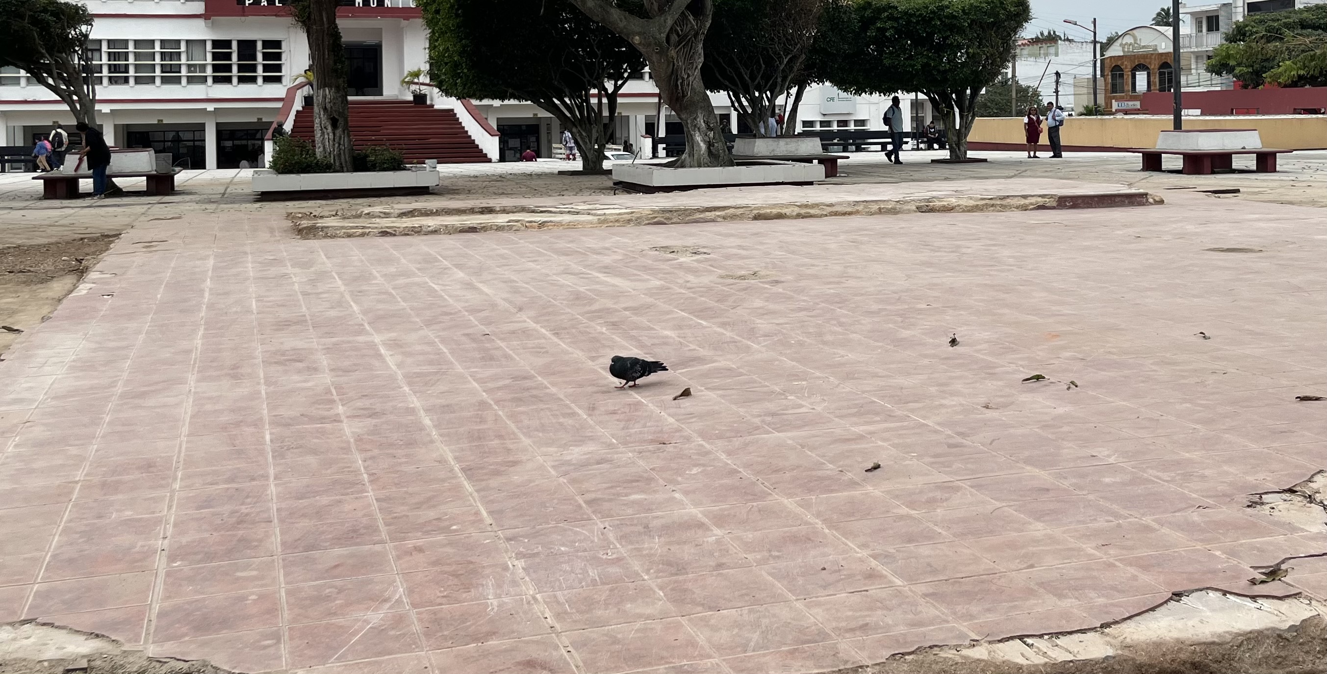 Hay cuatro propuestas para la reconstrucción del kiosko en el parque Independencia