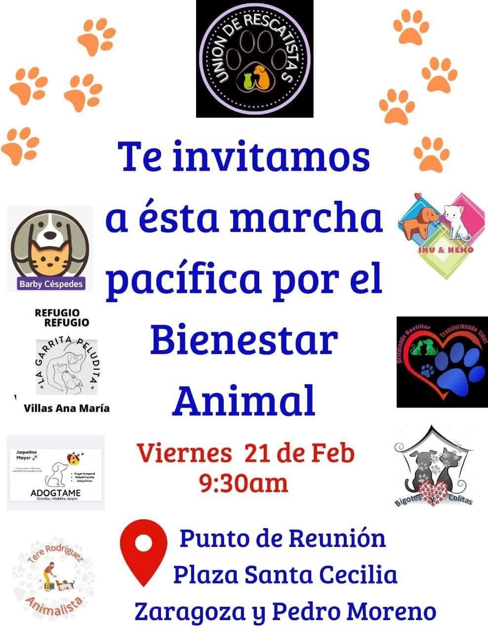 Convocan a marcha pacífica en Coatzacoalcos para exigir justicia por maltrato animal