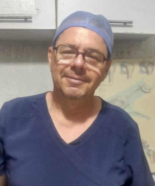 En esta temporada de calor… Tlacuaches, víctimas de maltrato animal