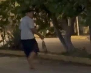 Exhiben en redes sociales a maltratador de tlacuaches en Coatzacoalcos