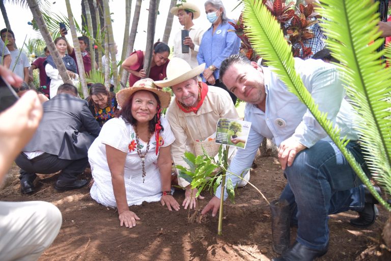 Reconocen diputadas importancia y valor del café veracruzano
