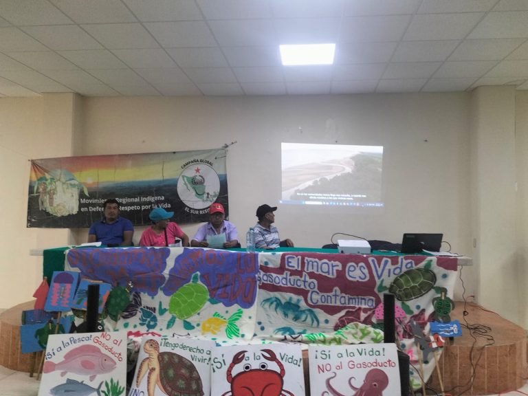 15 comunidades indígenas denuncian que gasoducto Puerta del Sureste, ha dejado peces, aves y tortugas muertas
