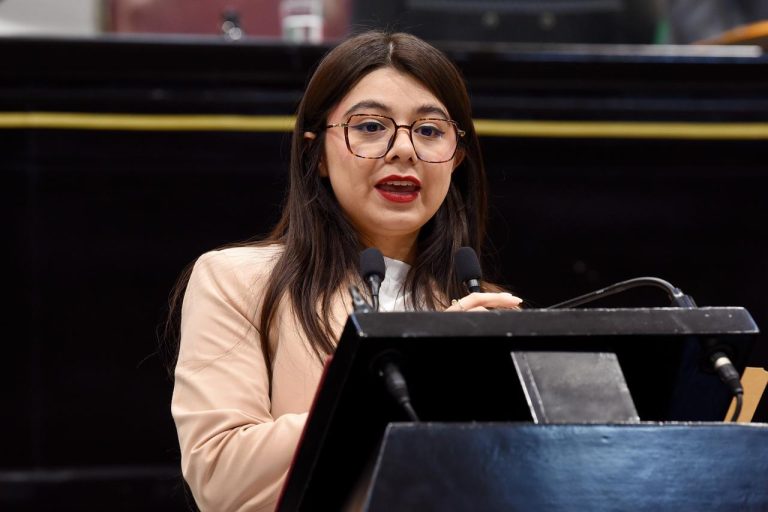 Aspirantes a cargos de elección deberán cumplir con obligaciones alimentarias