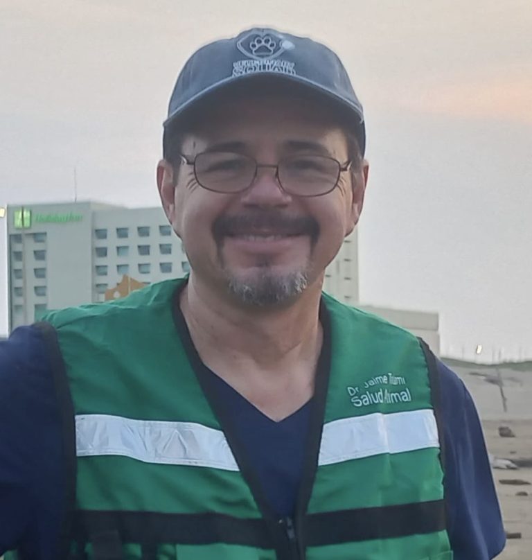 Se espera la llegada de tortuga verde a las playas de Coatzacoalcos