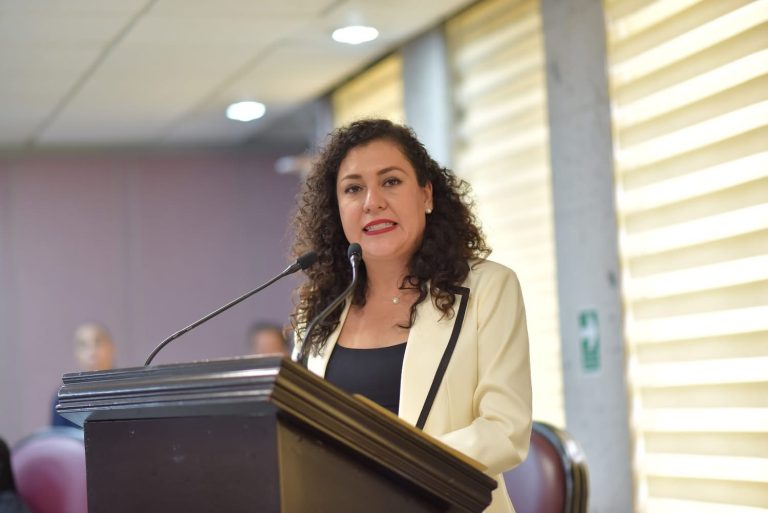 Plantea diputada otorgar estímulos fiscales por uso de energías limpias