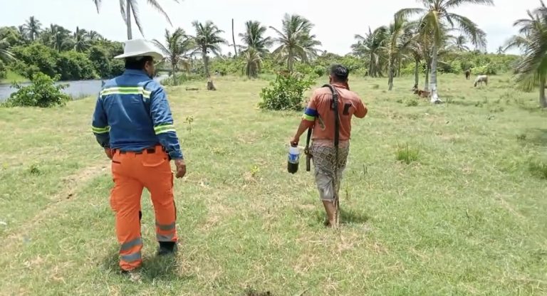 Capacitarán a ejidatarios de Guillermo Prieto para capturar al felino