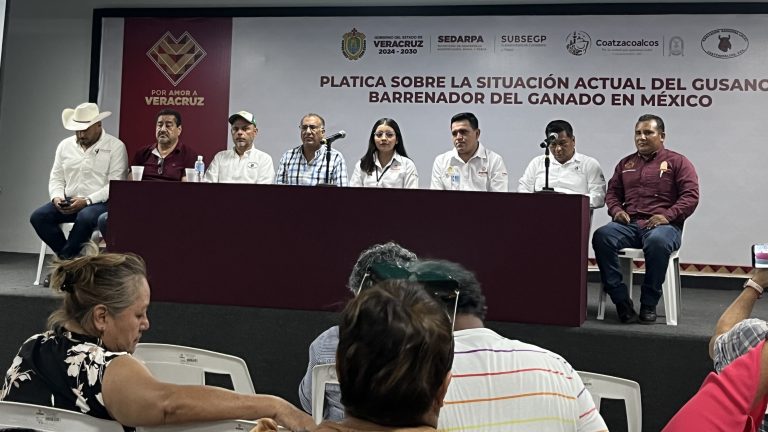 El ganado infectado por el gusano barrenador no se sacrifica y se cura