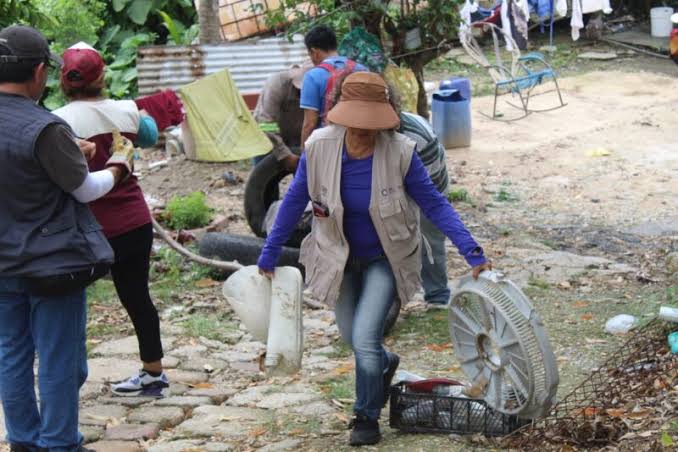 Se prevé más casos de dengue por temporada de lluvias, alerta el sector salud