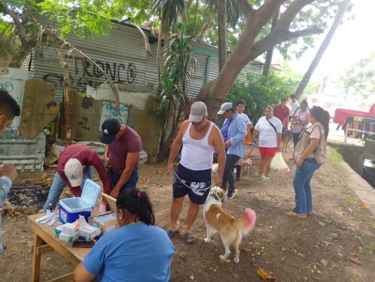 Impulsan en Coatzacoalcos la salud pública con jornada de vacunación canina y felina