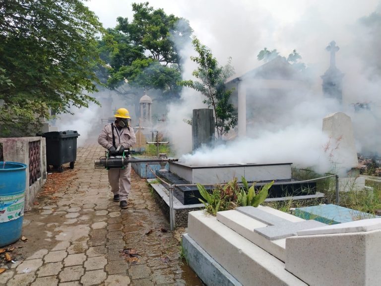 Refuerza Gobierno de Coatzacoalcos acciones contra el Dengue con fumigación en panteones