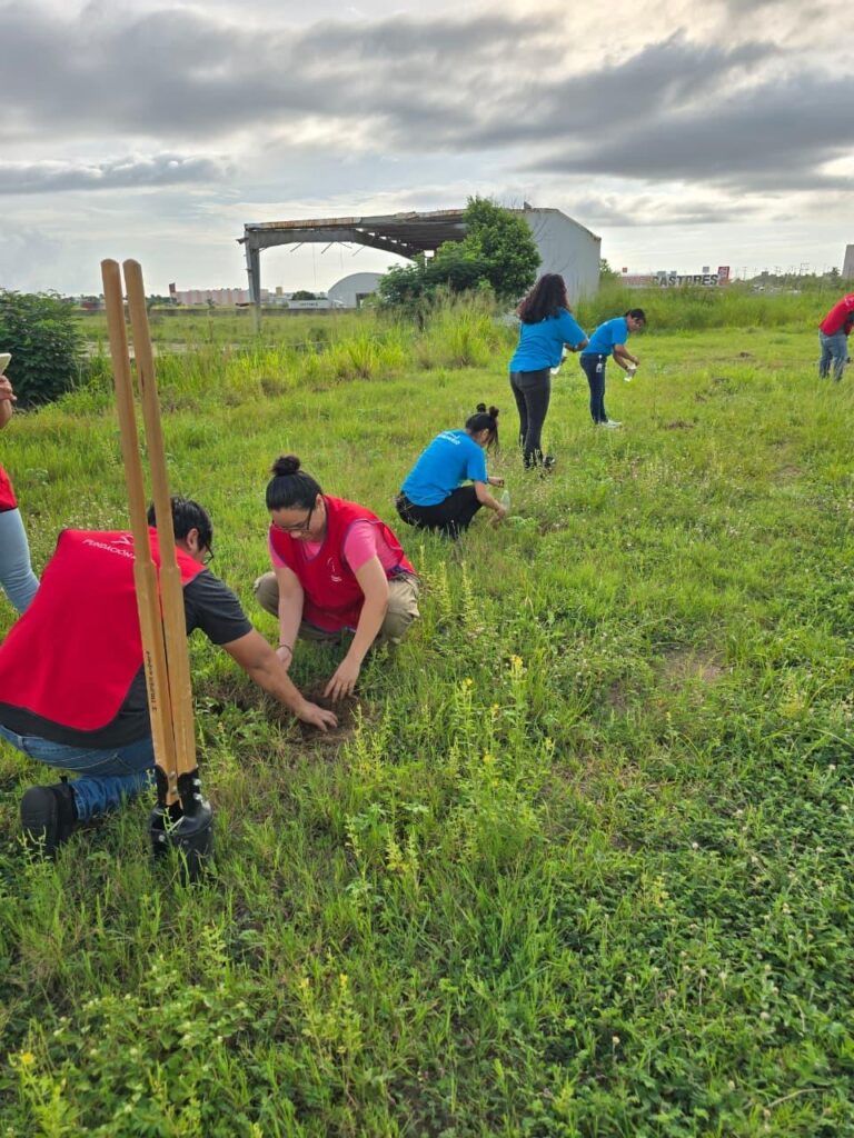 Reforestan Terminal ADO Puerto México en Coatzacoalcos
